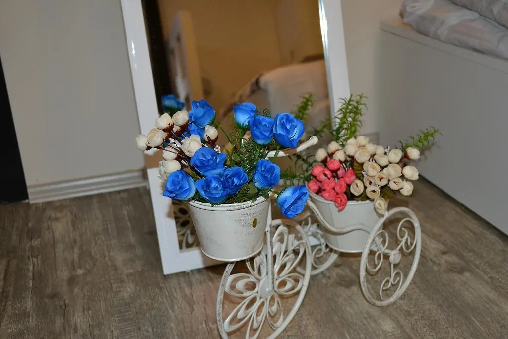 Family Apartment In Avlabari 트빌리시